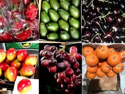 توزیع میوه‌های قاچاق خارج از میدان بار فروشان/ با حجره‌داران متخلف برخورد می‌شود