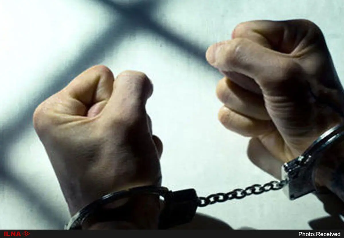 بازداشت 14 اخلال گر در نظام اقتصادی کشور 