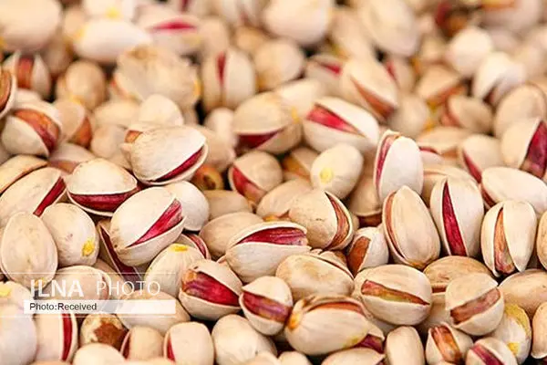 Iran’s 4-month pistachio export up 193% on year