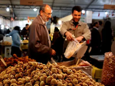 آغاز نمایشگاه‌های بهاره از ۵ اسفند در تهران و سراسر استان