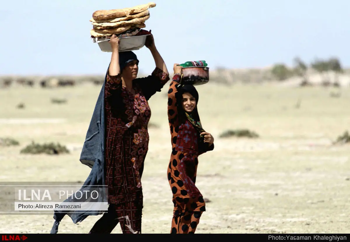 تامین 20 درصد گوشت کشور توسط عشایر