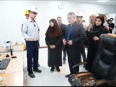 بازدید رئیس سازمان حفاظت محیط زیست از فجر انرژی خلیج فارس؛ تأکید بر تسریع در بازسازی بخش‌های آسیب‌دیده