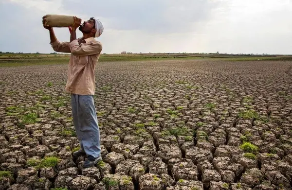 بیش از ۹۵ درصد شهرستان کلات درگیر خشکسالی است