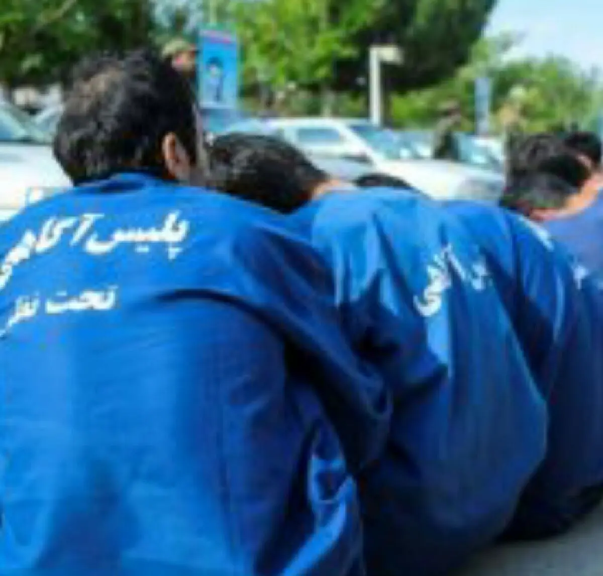دستگیری باند سارقان منزل و احشام در آبادان