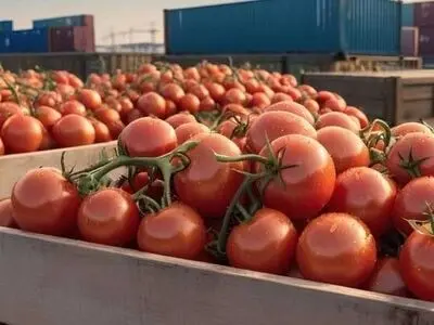 وضع محدودیت جدید در صادرات محصولات کشاورزی/ الزام به واردات غذا با تداوم ناترازی انرژی 