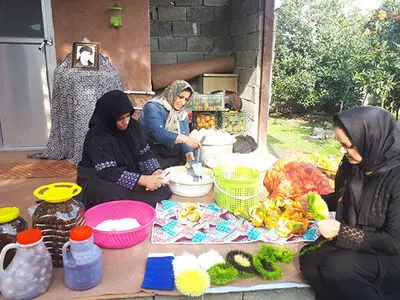 چهار صندوق اعتباری خرد زنان روستایی در پارس‌آباد تاسیس شد