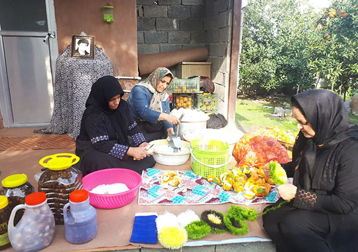 چهار صندوق اعتباری خرد زنان روستایی در پارس‌آباد تاسیس شد