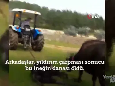 asdasd