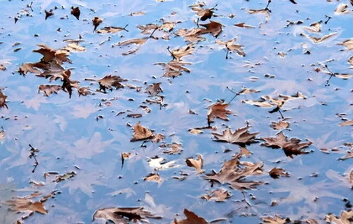 وضعیت دما و بارش تا فروردین ۱۴۰۵