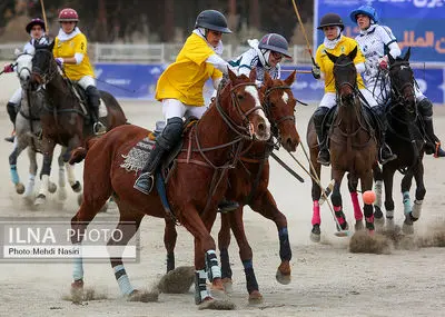 مسابقه فینال چوگان بین کانون چوگان البرز و بسپارشیمی