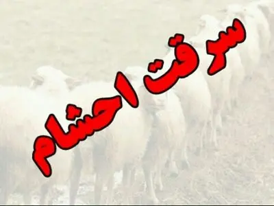 سارقان احشام در نظرآباد دستگیر شدند/ کشف 70 رأس دام سرقتی