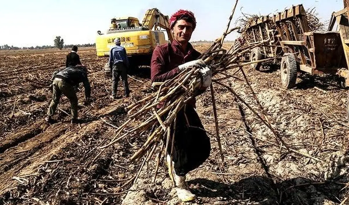 اعتراض کارگران رسمی نیشکر هفت‌تپه به طرح بازنشستگی اجباری/ سنوات ارفاقی رعایت نشد