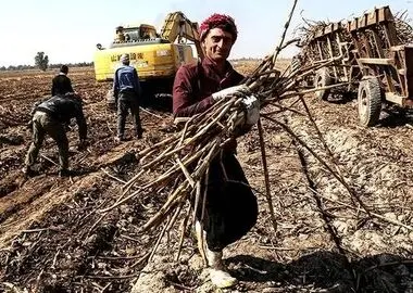 اعتراض کارگران رسمی نیشکر هفت‌تپه به طرح بازنشستگی اجباری/ سنوات ارفاقی رعایت نشد