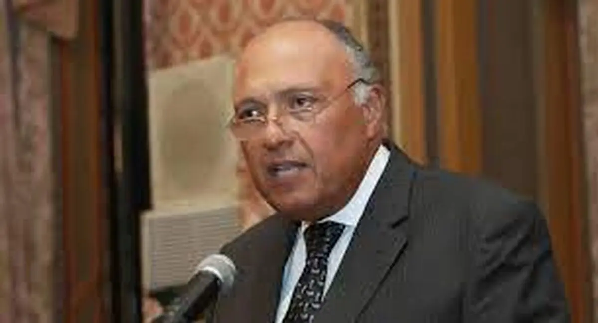 ابراز امیدواری وزیر خارجه مصر درباره پیشرفت در مذاکرات با ترکیه

