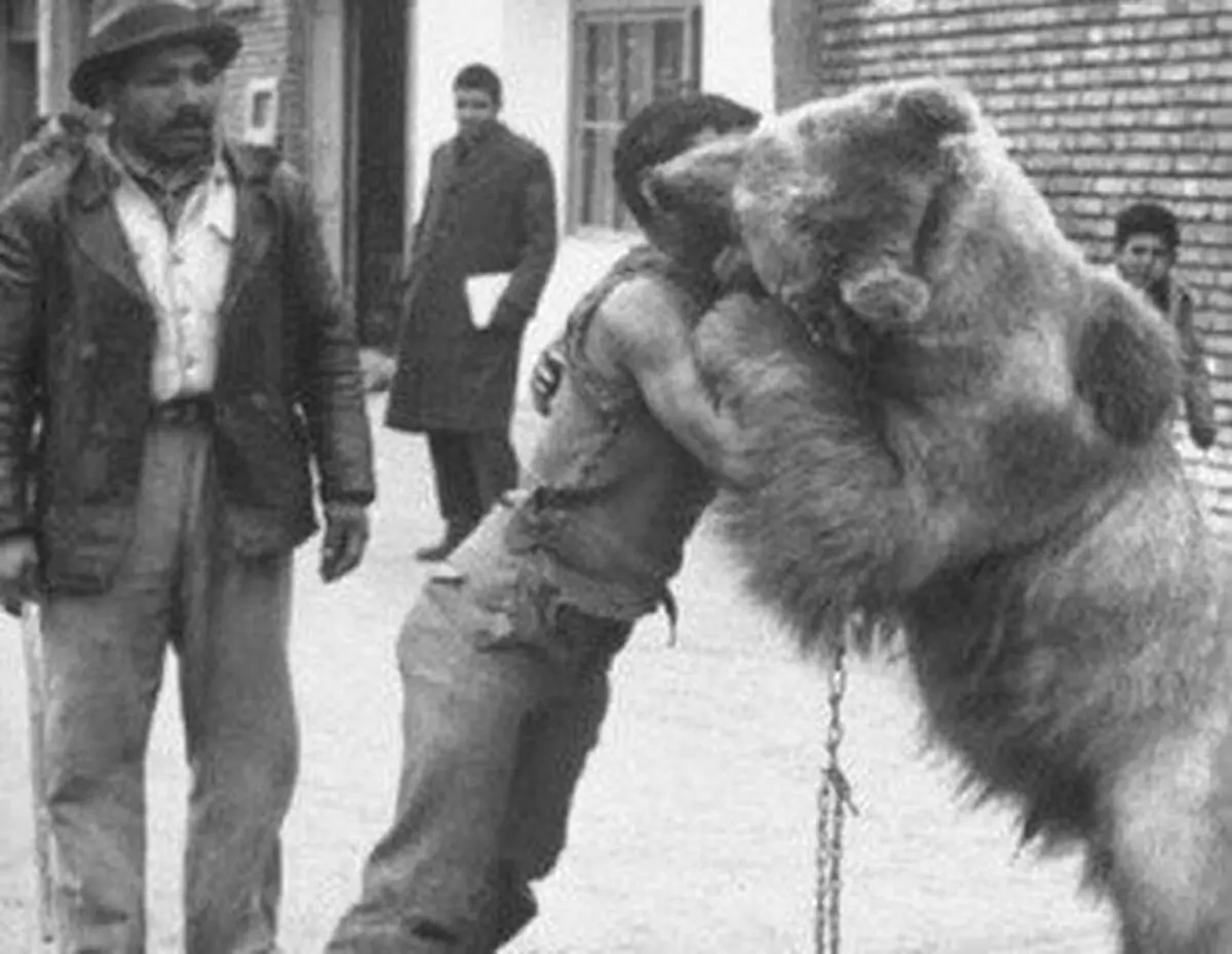 کشتی با خرس تفریح مردم طهران قدیم/عکس