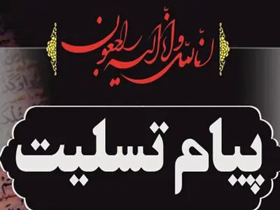 وزیر تعاون، کار و رفاه اجتماعی درگذشت آیت‌الله صانعی را تسلیت گفت