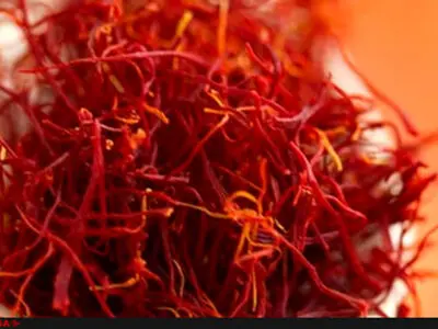 We are concerned about smuggling saffron bulbs; Ali Hosseini