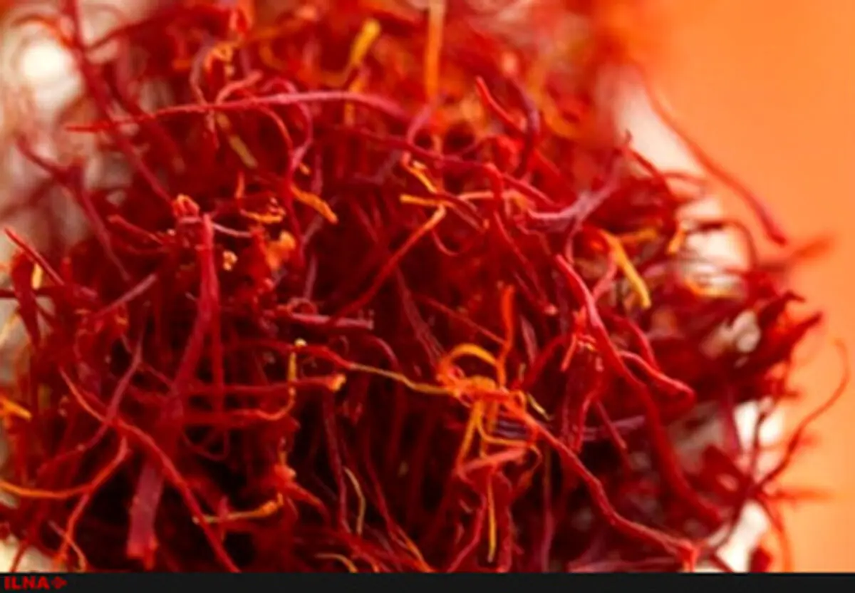 We are concerned about smuggling saffron bulbs; Ali Hosseini