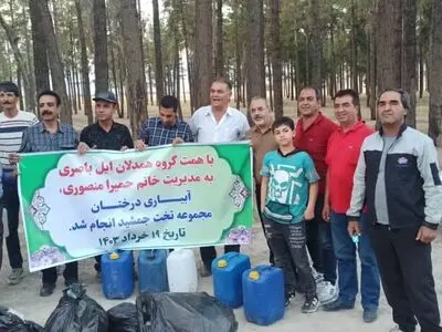 سوسک چوب‌خوار بلای جان درختان تخت‌جمشید/ مردم محلی با دبه و بطری به کمک درختان خشک شده آمدند