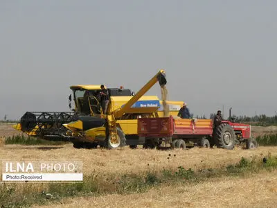 پرداخت ۱۶۰ همت طلب گندم‌کاران از صندوق توسعه ملی/ افزایش ۱۳۲ درصدی قیمت کود در سال جاری