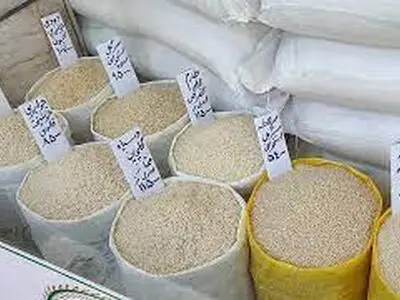 گیلان می‌تواند در تولید برنج به خودکفایی برسد