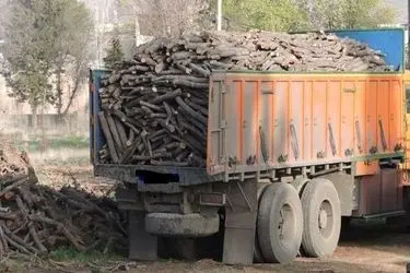 کشف ۹ هزار و ۳۳۰ کیلوگرم چوب قاچاق در اهواز 