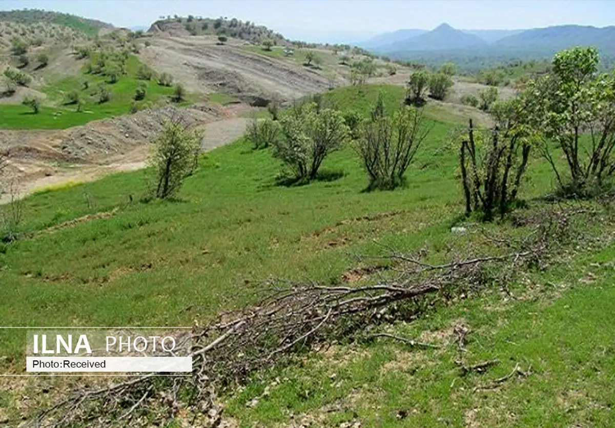 شناسایی ۸۰  تغییر کاربری غیرمجاز در اراضی کشاورزی  قزوین