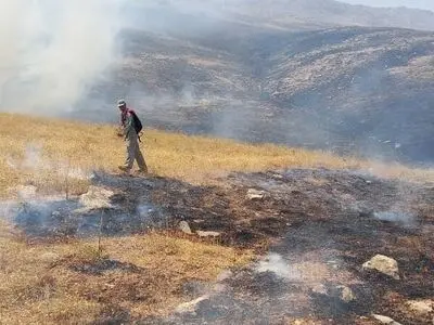 بی‌احتیاطی گردشگران ‌از مهم‌ترین دلایل آتش‌سوزی در مناطق حفاظت‌ شده است