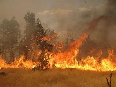 مرگ یک کارگر در حادثه آتش سوزی یک باغ