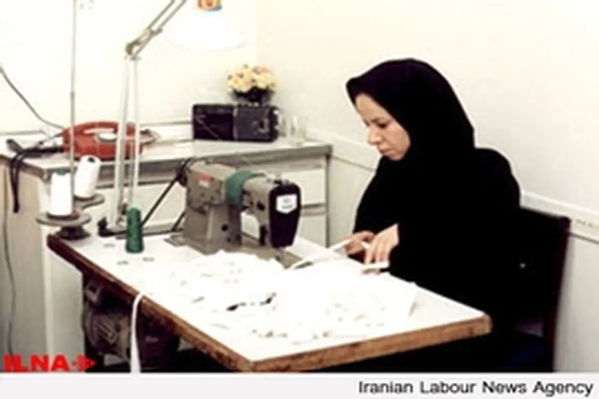 ضرورت وجود سیستم حمایتی در تعاونی‌های بانوان لرستان