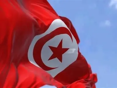 Tunisians Back New Constitution, But with Low Turnout