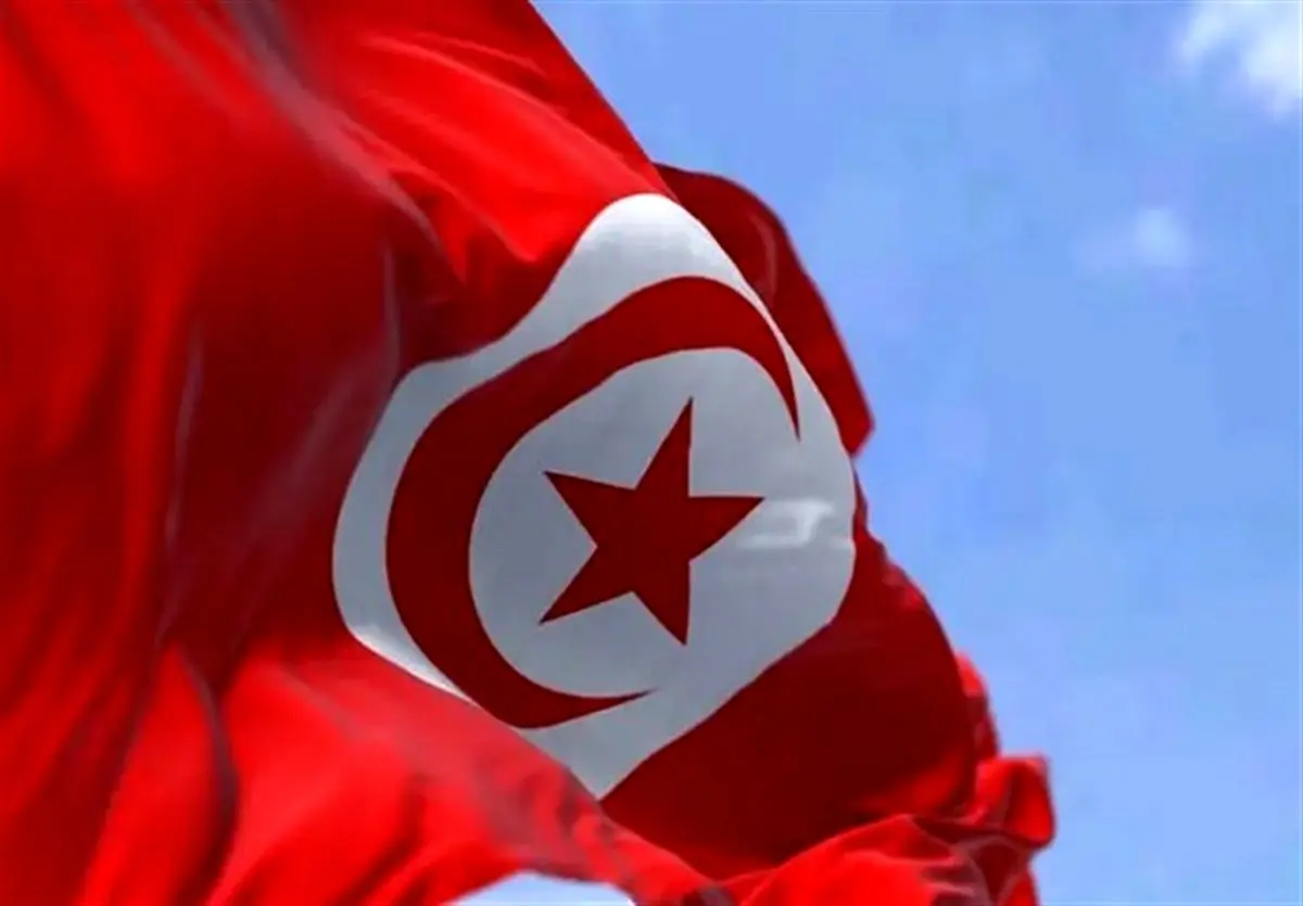 Tunisians Back New Constitution, But with Low Turnout