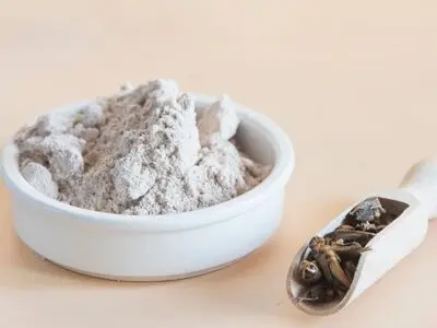 جیرجیرک‌ چهارمین حشره‌ خوراکی محبوب در جهان‌!