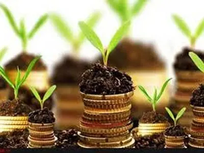 ادامه بلاتکلیفی کارگزاران صندوق بیمه کشاورزی/ آیا قانون جذب هفته آینده در مجلس به سرانجام می رسد؟!