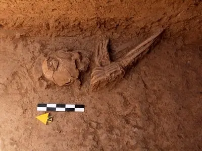 شواهدی جدید از آغاز دوره شهرنشینی در شرق ایران 