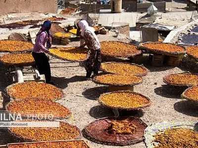 از آیینی ۷۰۰ ساله تا جشنواره‌های ترش و شیرین در ملهمدره و مانیزان+عکس