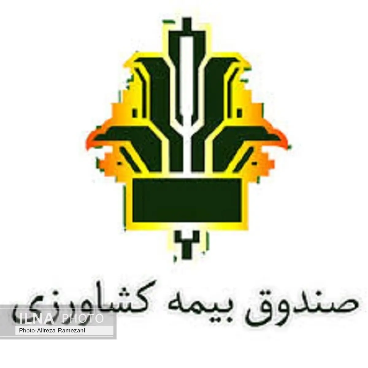 مهلت عملیات بیمه‌گری برخی از محصولات کشت بهاره در آذربایجان غربی تمدید شد