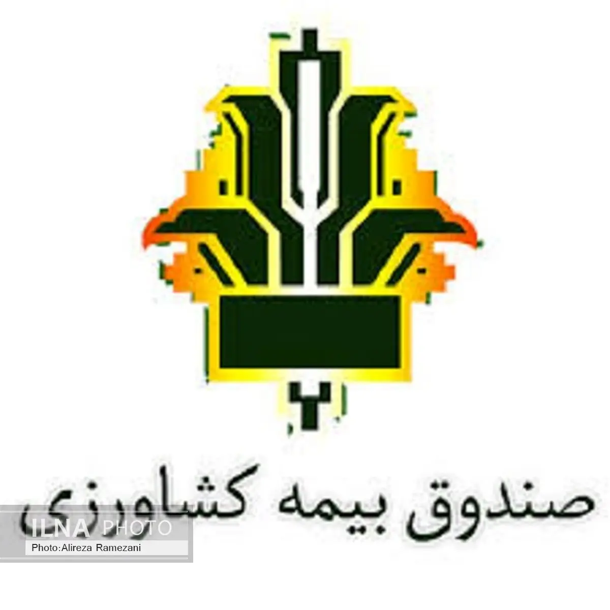 مهلت عملیات بیمه‌گری برخی از محصولات کشت بهاره در آذربایجان غربی تمدید شد