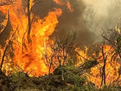 آتش به جان ۱۲۰ هکتار از اراضی شهرستان‌های کازرون و مرودشت افتاد