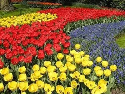 شانزدهمین جشنواره گل و گیاه در پایتخت گل ایران 