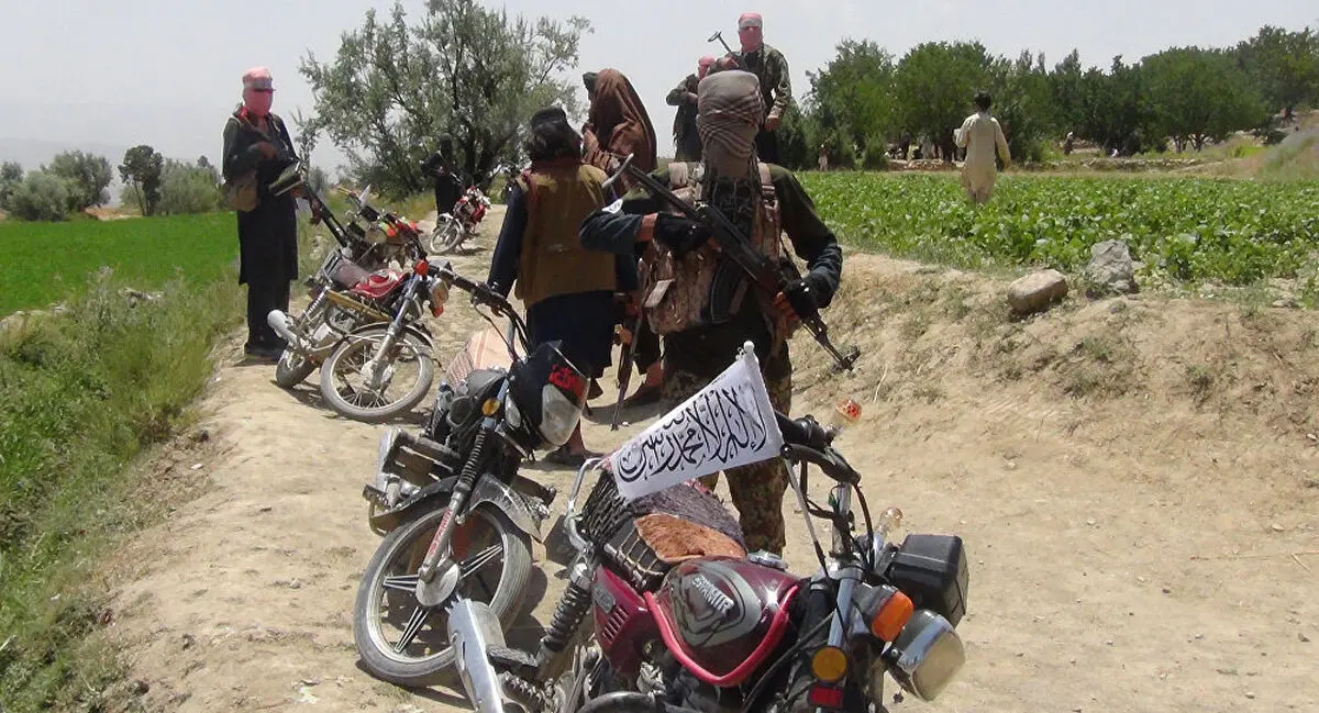 کشته شدن اعضای طالبان در انفجار تصادفی
