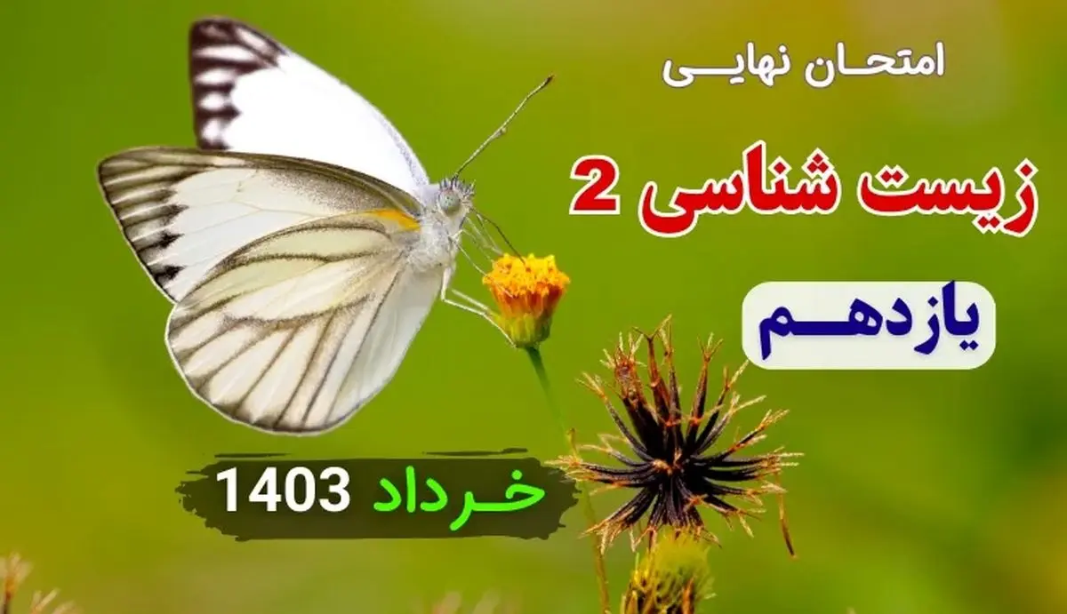 سوالات امتحان نهایی زیست شناسی یازدهم خرداد ۱۴۰۳