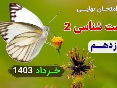 سوالات امتحان نهایی زیست شناسی یازدهم خرداد ۱۴۰۳