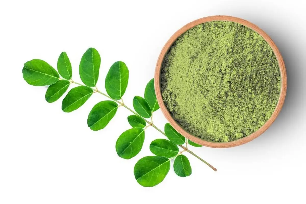 خواص گیاه سدر برای پوست و مو | سدر در طب سنتی چه فوایدی دارد؟