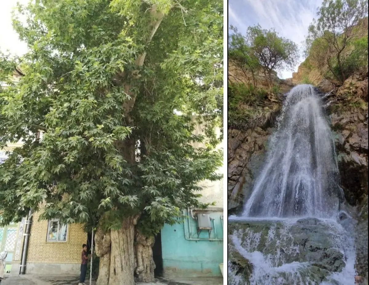 دو اثر طبیعی ساوجبلاغ  ثبت ملی شد