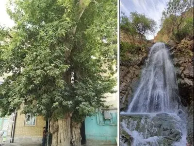 دو اثر طبیعی ساوجبلاغ  ثبت ملی شد