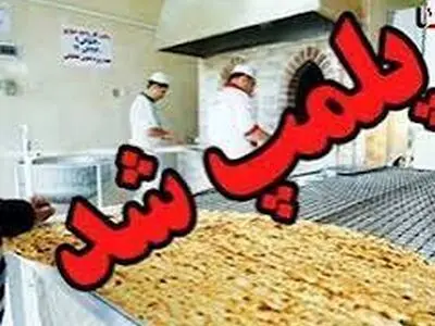 بازدید سرزده از نانوایی‌های شهرکرد منجر به پلمپ یک واحد و اخطار به متخلفان شد