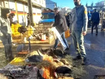 پایش زیست محیطی بازار هفتگی در صومعه سرا