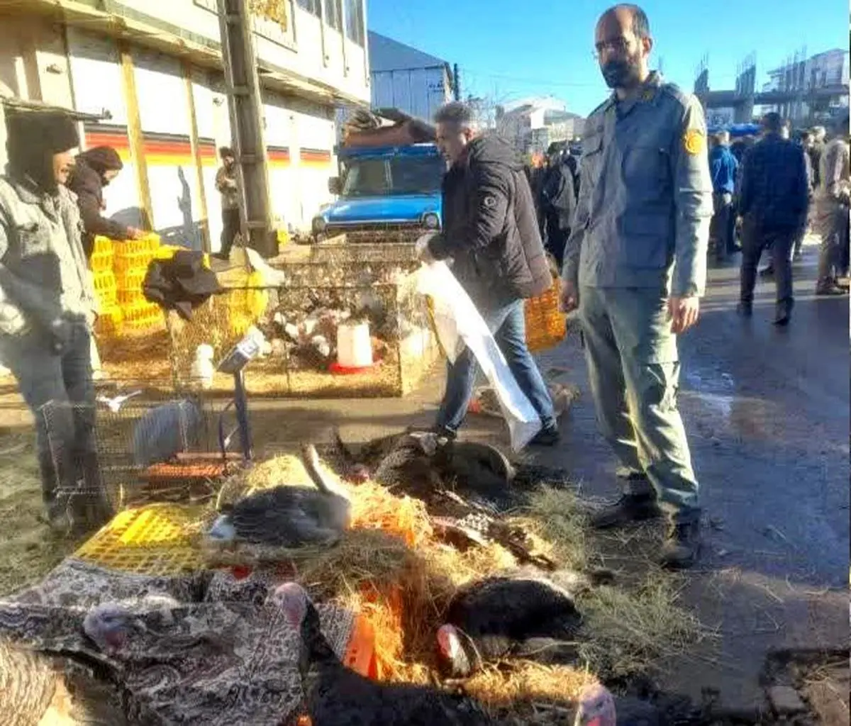 پایش زیست محیطی بازار هفتگی در صومعه سرا