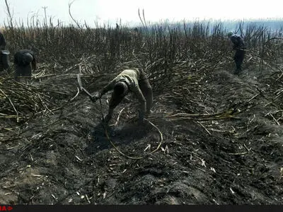 بالاخره هزینه بازنشستگی  ۳۴۱ کارگر نیشکر هفت تپه پرداخت شد